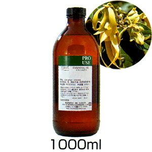 A} GbZVIC(CCEGNXg1000ml)̖