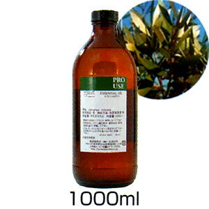 A} GbZVIC(jAEEVlI[1000ml)̖