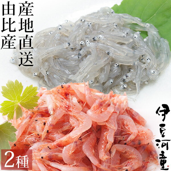 【静岡県産 駿河湾産 由比産桜エビ/青島商店】【冷凍】生桜えび×2・生しらす×2（桜えびは【2012年春漁の新物】です）【送料無料】