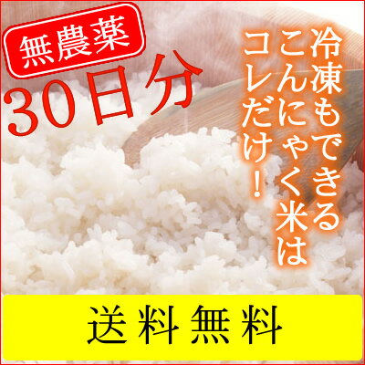 【がっつり（1ヶ月）コミコミ】ゼンライス IKKOさんも使っている石井さんの乾燥こんにゃく米30袋【...:i-kappa:10000817