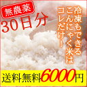 【お客様還元期間中】【がっつり（1ヶ月）コミコミ】石井さんの乾燥こんにゃく米30袋【送料無料】こんにゃくごはん ダイエット米※マンナンヒカリではありません