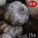 平成30年度秋収穫の国産こんにゃく芋 1キロ 業務用にも使える みやままさり こんにゃく芋です