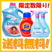 【ダウニーエイプリルフレッシュ 3.96L】+【タイド739ml】+【ファブリーズ　エイプリルフレッシュ800ml×2本】