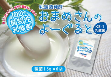 ヨーグルト 種菌 植物性乳酸菌 発酵 【送料無料】 豆乳ヨーグルトの種菌 おまめさんのよーぐると3g×6袋 お届けはポスト投函となります！