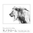 モノクローム 「ライオンキング」 Monochrome Lion King HPDN1080 ライオン キング 百獣の王 白黒 モノクロ 壁掛け インテリアパネル アートポスター アニマル柄 絵画 額縁 フレーム 作品 ウォールパネル 壁飾り スタイリッシュ おしゃれ スパイス SPICE