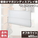 壁面棚 壁掛けマガジンディスプレイ棚 大 2枚セット オフホ...