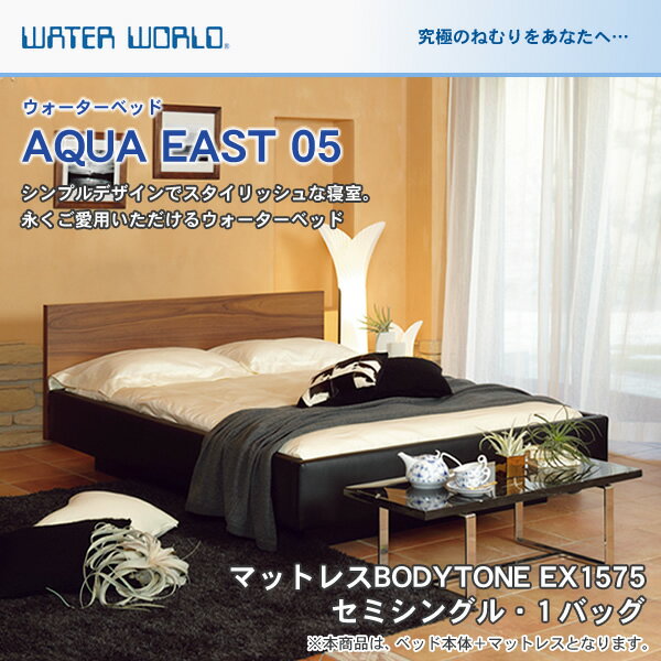 ウォーターベッド【送料無料/開梱 組立設置無料】AQUA EAST05 アクアイースト05…...:i-office1:10134790