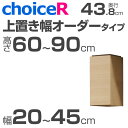壁面収納家具 チョイスR 上置き 幅オーダータイプ 幅20-45cm 高さ60-90cm 奥行43.8cm 【受注生産】【代引不可】【送料無料】 壁面収納 壁収納 壁面家具 ユニット家具
