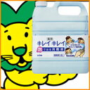 【送料無料】　ライオン　薬用キレイキレイ　泡で出る消毒液4L【2sp_120720_a】【SBZcou1208】10P123Aug12