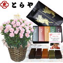 母の日ギフト 老舗 和菓子 とらや 小型 羊羹 と 鉢植え ...