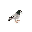 nT ng  ʂ Hansa Pigeon Plush