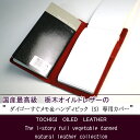ダイゴー「すぐメモ!」&「HANDY PICK」専用カバー(別売りハンディピックビジネスタイプ・スモールサイズに対応)【宅配便送料無料】