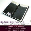 ダイゴー「HANDY PICK」ビッグサイズ専用カバー(別売りハンディピックビジネスタイプ・ビッグサイズに対応)【宅配便送料無料】