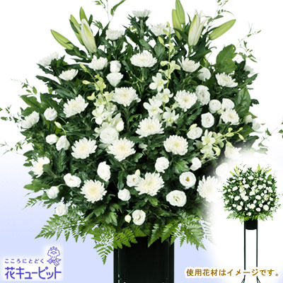 花キューピット【スタンド花・花輪（葬儀・葬式の供花）】gs23-511422お供え用スタン…...:i879:10082033