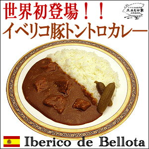 イベリコ豚トントロレトルトポークカレー（中辛）2食入【ベジョータ】/【レトルトカレー/豚肉 カレー/カレー 豚肉/ポークカレー/グルメ/高級】【スエヒロ家】