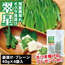 ★さつま揚げプレゼント付★送料無料!指宿産 農家の朝採れオクラ浅漬け「翠星(すいせい)姿漬け(プレーン)40g×4袋入」指宿 鹿児島 オクラ おくら 浅漬け 漬物 漬け物 浅漬 農家 ギフト 御歳暮 お歳暮 特産品 鹿児島特産品 指宿特産品