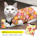 【 あす楽 】 iDog 愛犬用ちゃんちゃんこ 彩り亀甲柄 ...