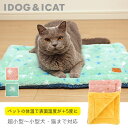 【ベッド最終SALE★52%OFF】【 猫 ブランケット マ...