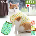 【 虫よけ 犬 服 】iDog トロピカルタンク mosca...