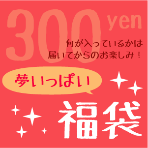 夢いっぱいの福袋何が届くかお楽しみ！日本製食器がこの価格！？スペシャル福袋♪