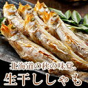【送料無料】北海道産 生干ししゃも(メス20尾、オス10尾)...
