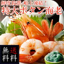 【送料無料】船上凍結 特大ぼたんえび 1kg(オス500g、メス500g)(冷凍) 【ボタンエビ】【牡丹海老】【ぼたんえび】