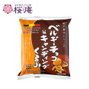 贅沢最中アイスクリームシリーズ!ベルギーチョコ&キャンディングくるみ