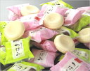 つぼみ業務用アイスクリーム【96個入り】48個×2箱