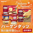 【300円オフクーポンが使える】お歳暮 ギフトに ハーゲンダッツ 秋の新作祭りセット