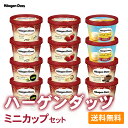 【300円オフクーポンが使える】お歳暮 ギフトに ハーゲンダッツ ミニカップ12個 セット