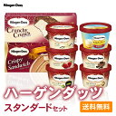 【300円オフクーポンが使える】お歳暮 ギフトに ハーゲンダッツ スタンダードセット 8種類のフレーバー