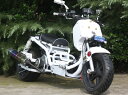 ICEBEARフルカスタム50ccバイク ロングホイールベース・特注扁平タイヤ50cc二輪・原付バイクマッドドッグカスタムHL50KZW
