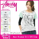 ステューシー STUSSY ウーマンズ Neon Blocked Grit カットソー 半袖(stussy crew カットソー ガールズ レディース ウィメンズ ladies レデイース レディス Ladys WOMENS 女性用 214013 スチューシー) ice filed icefield