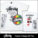 ステューシー STUSSY Classic Collage Tシャツ 半袖(stussy tee ティーシャツ メンズ 男性用 1902752)STUSSY Classic Collage S/S Tee