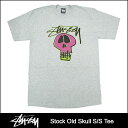 ステューシー STUSSY Stock Old Skull Tシャツ 半袖(stussy tee ティーシャツ T-SHIRTS トップス メンズ・男性用 1902846 スチューシー) ice filed icefield