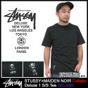 ƥ塼 STUSSYMAIDEN NOIR Deluxe 1 T Ⱦµ  ǥå(stussymaiden noir ᥤǥ󡦥Υ W͡ ƥ T-SHIRTS ȥåץ   4014051 DELUXE) ice filed icefield