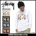 ステューシー STUSSY Desert No4 Tシャツ 長袖(stussy tee ティーシャツ T-SHIRTS トップス ロング ロンティー メンズ 男性用 1992880) ice filed icefieldSTUSSY Desert No4 L/S Tee