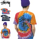 ステューシー STUSSY WT Swirl Tシャツ 半袖(stussy tee ティーシャツ T-SHIRTS トップス メンズ 男性用 1902999) ice filed icefieldSTUSSY WT Swirl S/S Tee