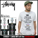 ステューシー STUSSY×J.Dilla WT Tシャツ 半袖 コラボ(stussy tee ティーシャツ T-SHIRTS トップス J・ディラ ジェイディラ Wネーム メンズ 男性用 3902446) ice filed icefieldSTUSSY×J.Dilla WT S/S Tee コラボ