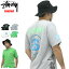 Xe[V[ STUSSY Multi Link TVc  (stus...