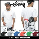 STUSSY ステューシー Tシャツ Hippy 