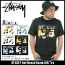 ステューシー STUSSY No4 Beach Camo Tシャツ 半袖 (stussy tee ティーシャツ T-SHIRTS トップス メンズ 男性用 1903030) ice filed icefieldSTUSSY No4 Beach Camo S/S Tee