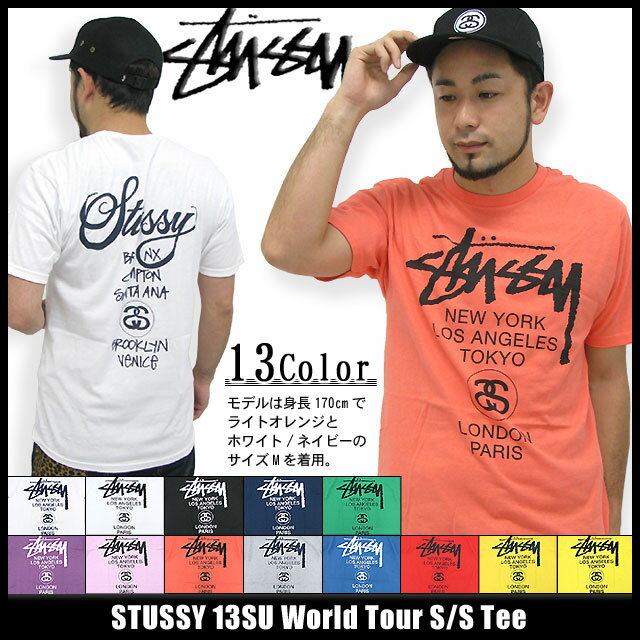 ステューシー STUSSY 13SU World Tour Tシャツ 半袖(stussy tee ティーシャツ T-SHIRTS トップス メンズ・男性用 1903053 Stussy stussy ストゥーシー スチューシー) ice filed icefieldSTUSSY 13SU World Tour S/S Tee