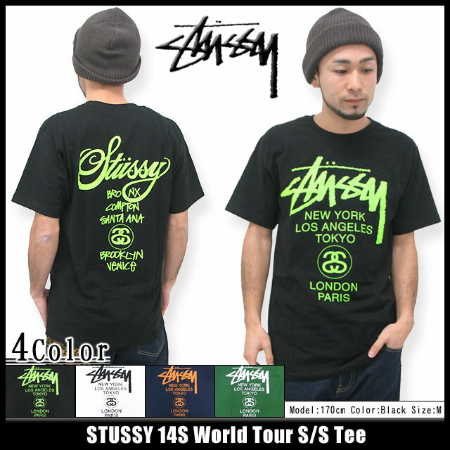 ステューシー STUSSY 14S World Tour Tシャツ 半袖(stussy tee ティーシャツ T-SHIRTS トップス メンズ・男性用 1903266 Stussy stussy ストゥーシー スチューシー) ice filed icefieldSTUSSY 14S World Tour S/S Tee