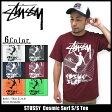 ステューシー STUSSY Cosmic Surf Tシャツ 半袖(stussy tee ティーシャツ T-SHIRTS トップス メンズ・男性用 1903288 Stussy stussy ストゥーシー スチューシー) ice filed icefield