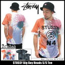 【ポイント5倍】ステューシー STUSSY Big Boy Heads Tシャツ 半袖(stussy tee ティーシャツ T-SHIRTS トップス メンズ・男性用 1903281 Stussy stussy ストゥーシー スチューシー) ice filed icefield