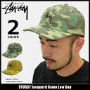 ステューシー STUSSY キャップ 帽子 Jacquard Camo Low Cap(ローキャップ ストラップバック メンズ・男性用 131715 ストゥーシー スチューシー) ice filed icefield