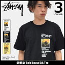 【6/26入荷予定】ステューシー STUSSY Tシャツ 半袖 メンズ Gold Coast(stussy tee ティーシャツ T-SHIRTS カットソー トップス メンズ・男性用 1904015 ストゥーシー スチューシー) ice filed icefield