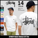 【6/26入荷予定】ステューシー STUSSY Tシャツ 半袖 メンズ Basic Stussy(stussy tee ティーシャツ T-SHIRTS カットソー トップス ベーシック メンズ・男性用 1904061 1904003 ストゥーシー スチューシー) ice filed icefield
