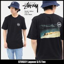 ƥ塼 STUSSY T Ⱦµ  Lagoon(stussy tee ƥ T-SHIRTS åȥ ȥåץ 󥺡 1904152 ȥ 塼)[M 1/1] ice filed icefield